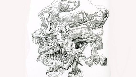Suspicious Anatomy Suspicious Anatomy